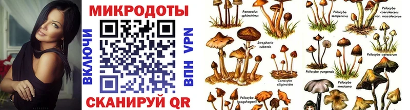 Галлюциногенные грибы Psilocybe  Купить где  Кисловодск 